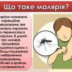 Фото розробки: Презентація “25 квітня – Всесвітній день боротьби з малярією”