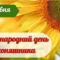 Презентація на тему “1 травня – Міжнародний день соняшника”