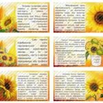 Фото розробки: Презентація на тему “1 травня – Міжнародний день соняшника”