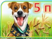 Правила безпеки “5 ПРАВИЛ, ЯКІ ДОПОМОЖУТЬ ЗБЕРЕГТИ ЖИТТЯ”