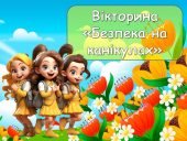 Анімована презентація – вікторина «Безпека на канікулах». Інструктаж з БЖД на канікули