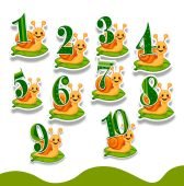 Оформлення для групи «Цифри на равлику»