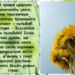 Фото розробки: Презентація “13 травня – Всесвітній день кульбаби”