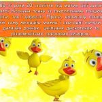 Фото розробки: Презентація “14 травня – День танцю маленьких каченят”