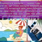 Фото розробки: Презентація. Урок інформатики 35. Повторення і систематизація навчального матеріалу. 2-6 клас