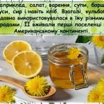 Фото розробки: Презентація “13 травня – Всесвітній день кульбаби”