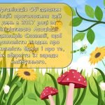 Фото розробки: Презентація “20 травня – Всесвітній день бджіл”