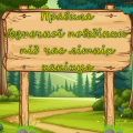 Правила безпечної поведінки під час літніх канікул ( презентація + буклет )