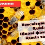 Презентація “20 травня – Всесвітній день бджіл. Цікаві факти про мед та бджіл”