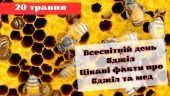 Презентація “20 травня – Всесвітній день бджіл. Цікаві факти про мед та бджіл”