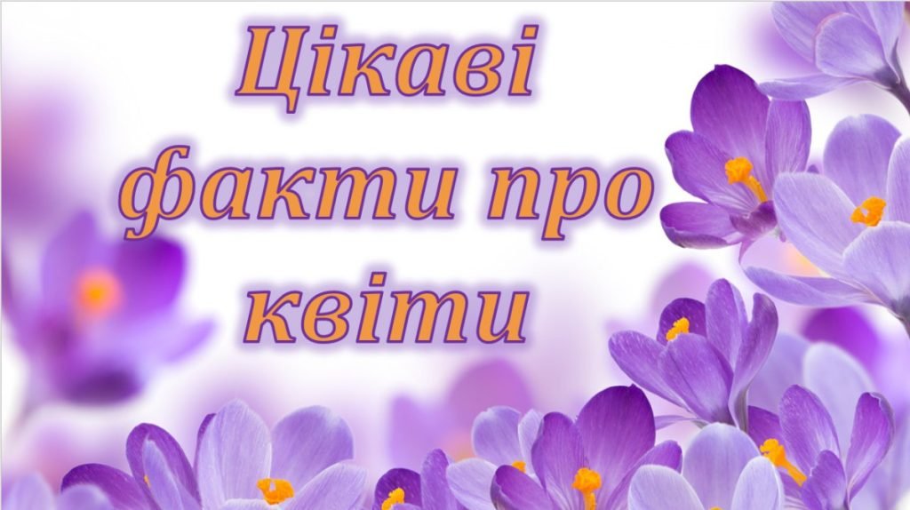 Головне зображення розробки: Презентація на тему “Цікаві факти про квіти” (можна до Міжнародного дня квітки 21 червня)