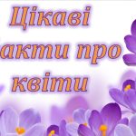 Презентація на тему “Цікаві факти про квіти” (можна до Міжнародного дня квітки 21 червня)