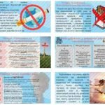 Фото розробки: Презентація на тему “31 травня – Всесвітній день без тютюну”