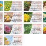 Фото розробки: Презентація на тему “Всесвітній день кульбаби”