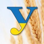 Фото розробки: Оформлення напис-розтяжка “День Конституції України!”