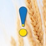 Фото розробки: Оформлення напис-розтяжка “День Конституції України!”