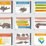 Фото розробки: Презентація “Надання допомоги на етапі під вогнем (CUF, Care Under Fire)”