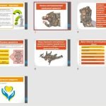 Фото розробки: Презентація “Ознаки життєзагрозливої зовнішньої кровотечі”