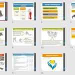 Фото розробки: Презентація “Техніка виносу пораненого з небезпечної зони”