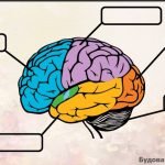 Фото розробки: Картки з завданнями біологія 8 клас