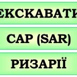 Фото розробки: !!! БІОРІЗНОМАНІТТЯ. КЛАСИФІКАЦІЯ РОСЛИН І ТВАРИН. ТАКСОНИ. СУЧАСНА СИСТЕМАТИКА. 5-11 кл