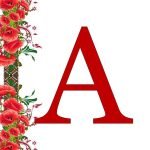 Фото розробки: Оформлення напис-розтяжка “День знань!”