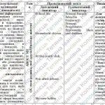 Фото розробки: Навчальна програма з англійської мови 7 клас НУШ (до підручника FULL BLAST)