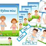 Інформаційний комплект “Будова тіла”