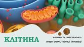 БІОЛОГІЯ В СХЕМАХ, МАЛЮНКАХ І ТАБЛИЦЯХ. ЦИТОЛОГІЯ. КЛІТИНА: БУДОВА, ЖИТТЄДІЯЛЬНІСТЬ. ІНФОГРАФІКА до уроків біології. НУШ 7-11 класи