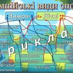 Фото розробки: Презентація. Олімпійський урок, олімпійський тиждень 2025. “Спорт – крок до миру!”