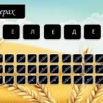 Фото розробки: День захисника