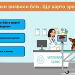 Фото розробки: День доброти “Гуманне та відповідальне ставлення до тварин”