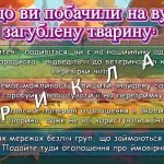 Фото розробки: Презентація “4 жовтня – Всесвітній день захисту тварин”. Урок доброти “Щаслива лапка”