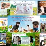 Фото розробки: Презентація “Всесвітній день захисту тварин – 4 жовтня”