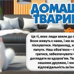 Фото розробки: Міжнародний урок доброти “Гуманне та відповідальне ставлення до тварин.”