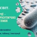 БАКТЕРІЇ – ПРОКАРІОТИЧНІ ОРГАНІЗМИ. БІОЛОГІЯ В СХЕМАХ, МАЛЮНКАХ І ТАБЛИЦЯХ. ІНФОГРАФІКА до уроків біології. НУШ 7-11 класи