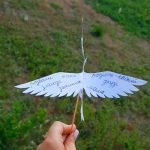 Фото розробки: Голуб миру