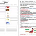 Фото розробки: 5 клас НУШ. Мініконспекти уроків з української мови.