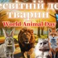Презентація “Всесвітній день тварин”+конспект
