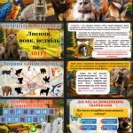 Фото розробки: Презентація “Всесвітній день тварин”+конспект