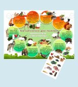 Інтерактивний навчальний плакат із наліпками «Чим харчуються дикі тварини» для дошкільнят та учнів п