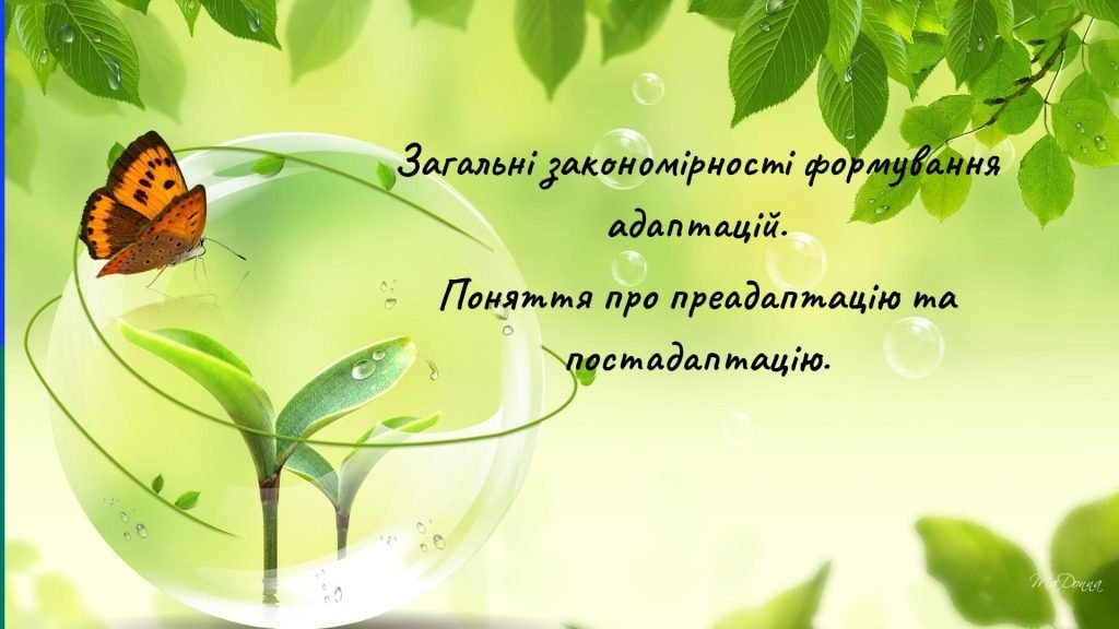 Головне зображення розробки: Загальні закономірності формування адаптацій. Поняття про преадаптацію та постадаптацію.