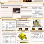 Постер. Шаблон. Для МАН та екологічного проекту. Редагується власноруч
