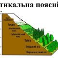 Презентація з географії для 7 класу НУШ на тему “Вертикальна поясність” за програмою Запотоцького С.