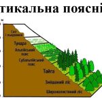 Презентація з географії для 7 класу НУШ на тему “Вертикальна поясність” за програмою Запотоцького С.