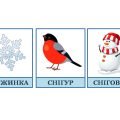 Розвиваючі картки Домана “Зима”