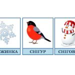 Розвиваючі картки Домана “Зима”