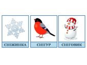 Розвиваючі картки Домана “Зима”