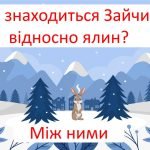 Фото розробки: Орієнтування в просторі: спереду, між, позаду.