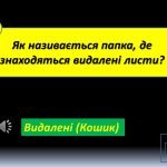 Фото розробки: Найрозумніший Інформатика